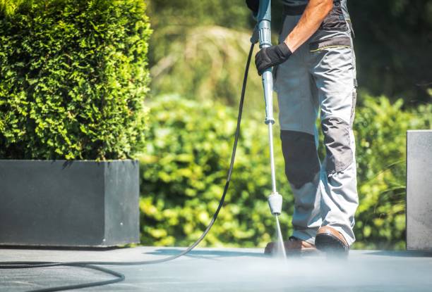 Best Sidewalk and Walkway Cleaning  in Milford, IN